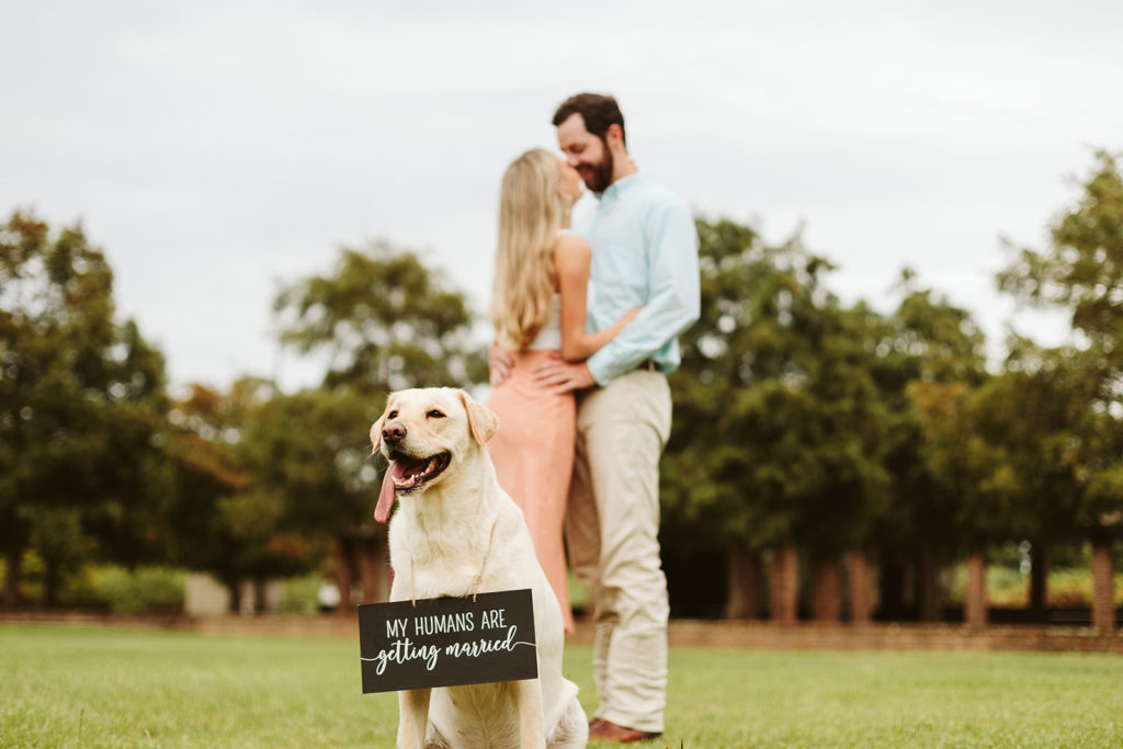 engagement session with a pet